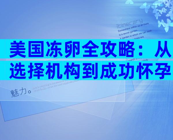美国冻卵全攻略：从选择机构到成功怀孕的每一步详解
