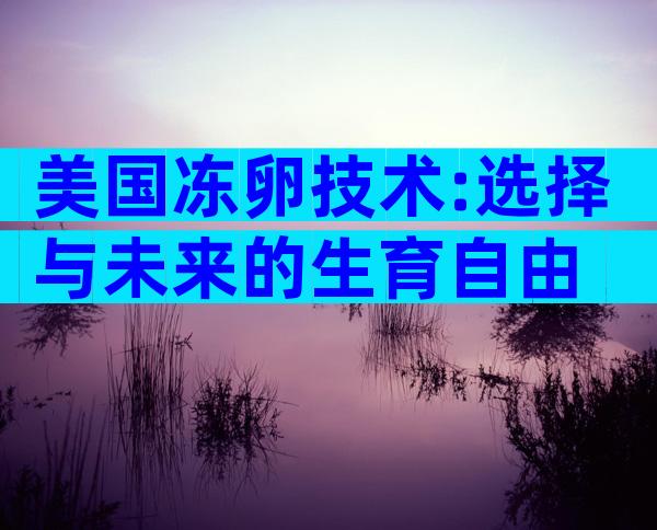美国冻卵技术:选择与未来的生育自由