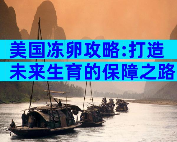 美国冻卵攻略:打造未来生育的保障之路