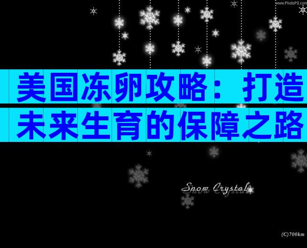 美国冻卵攻略：打造未来生育的保障之路