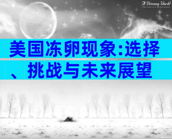 美国冻卵现象:选择、挑战与未来展望