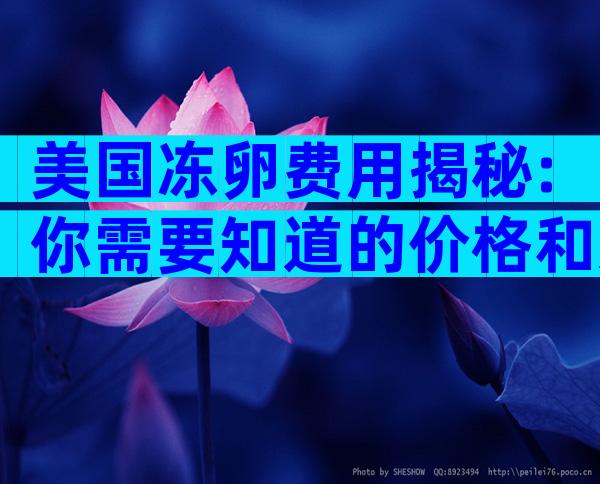 美国冻卵费用揭秘:你需要知道的价格和选择
