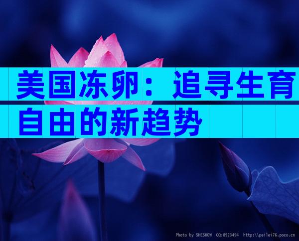 美国冻卵：追寻生育自由的新趋势