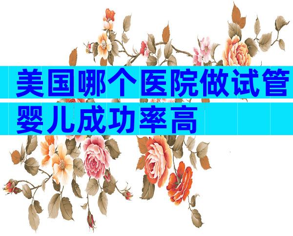 美国哪个医院做试管婴儿成功率高
