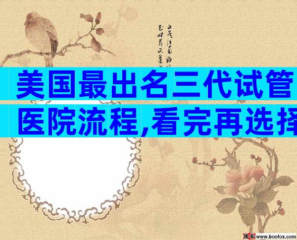 美国最出名三代试管医院流程,看完再选择也不迟