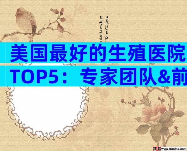 美国最好的生殖医院TOP5：专家团队&前沿技术全解析