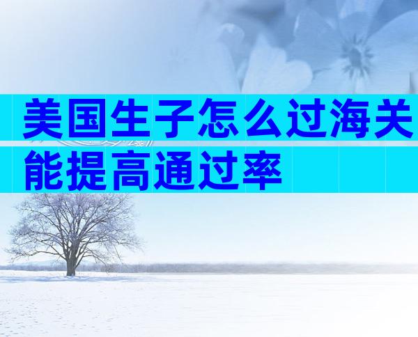美国生子怎么过海关能提高通过率