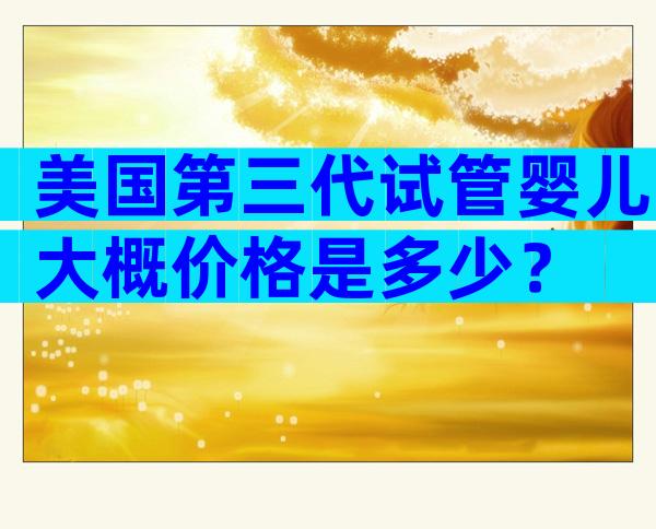 美国第三代试管婴儿大概价格是多少？