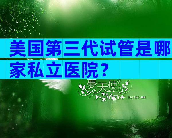 美国第三代试管是哪家私立医院？