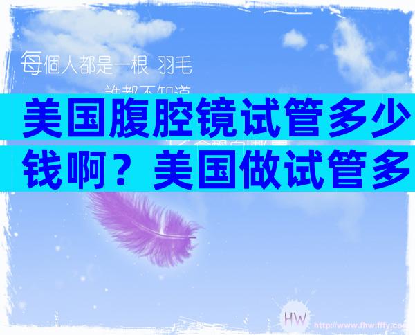 美国腹腔镜试管多少钱啊？美国做试管多少钱？