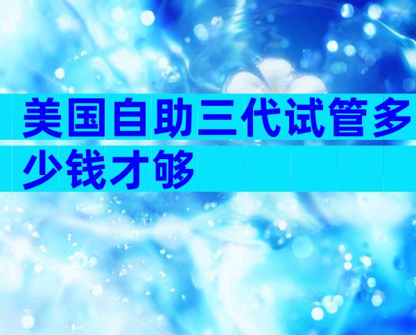 美国自助三代试管多少钱才够