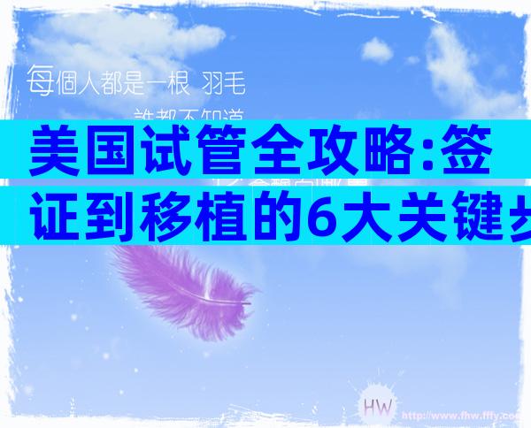美国试管全攻略:签证到移植的6大关键步骤,助你轻松圆梦