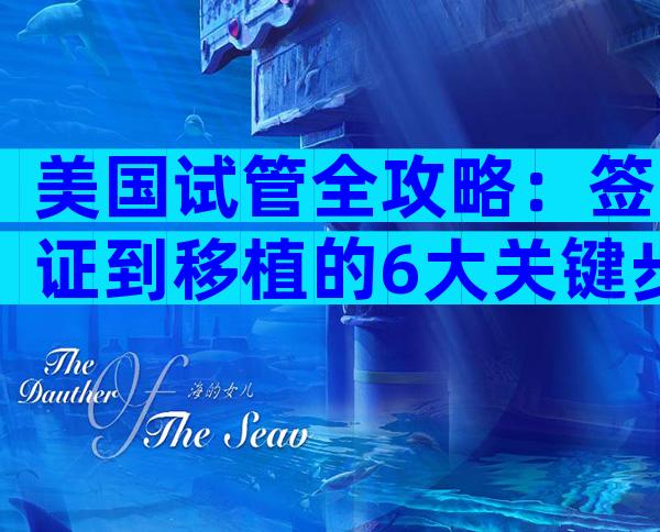 美国试管全攻略：签证到移植的6大关键步骤，助你轻松圆梦