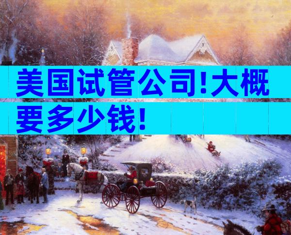 美国试管公司!大概要多少钱!
