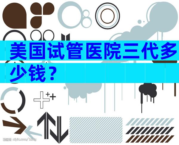 美国试管医院三代多少钱？