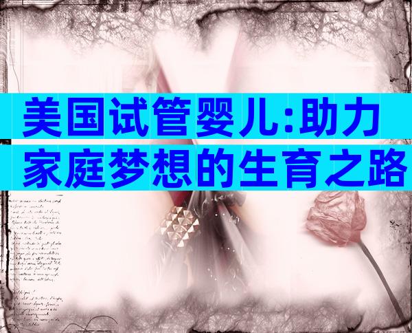 美国试管婴儿:助力家庭梦想的生育之路