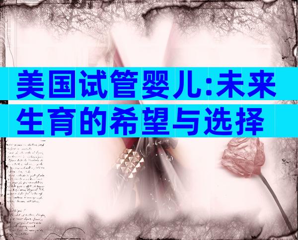 美国试管婴儿:未来生育的希望与选择