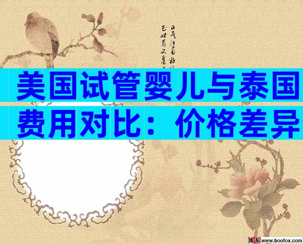 美国试管婴儿与泰国费用对比：价格差异分析及选择指南
