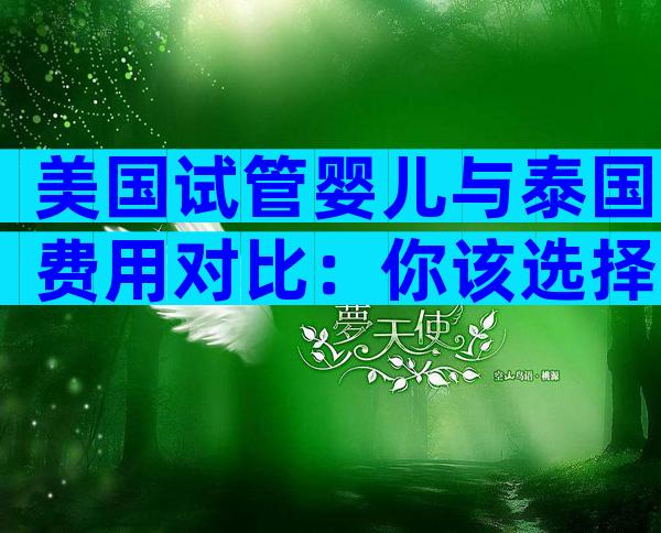 美国试管婴儿与泰国费用对比：你该选择哪个？