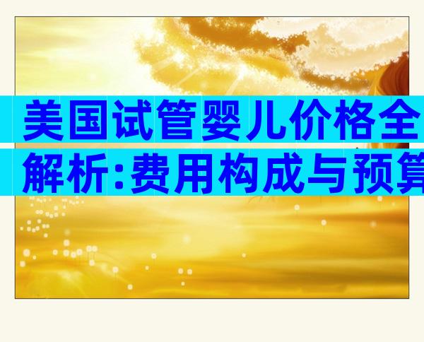 美国试管婴儿价格全解析:费用构成与预算指南