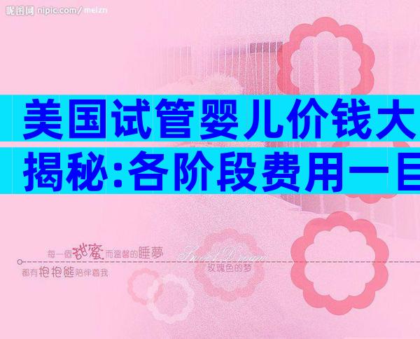 美国试管婴儿价钱大揭秘:各阶段费用一目了然