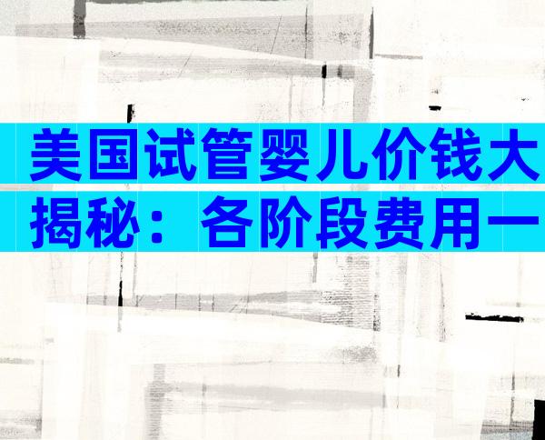 美国试管婴儿价钱大揭秘：各阶段费用一目了然
