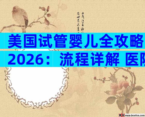美国试管婴儿全攻略2026：流程详解+医院选择一站式指南