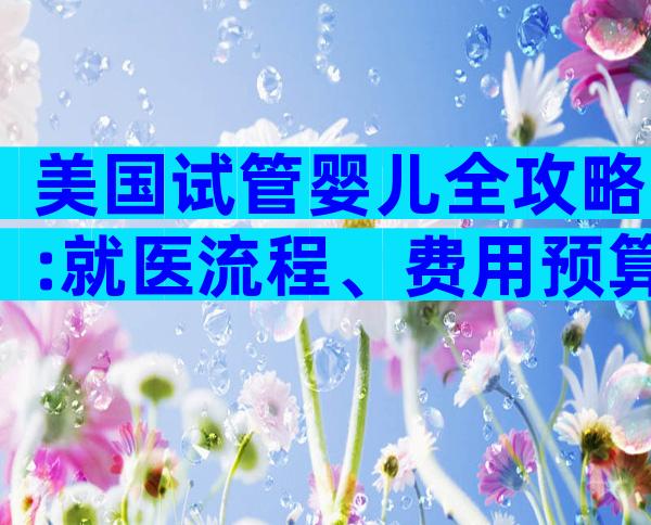 美国试管婴儿全攻略:就医流程、费用预算与成功要点