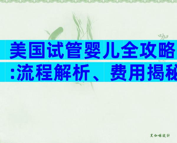 美国试管婴儿全攻略:流程解析、费用揭秘与实用贴士