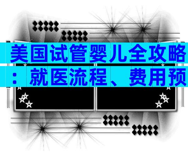 美国试管婴儿全攻略：就医流程、费用预算与成功要点