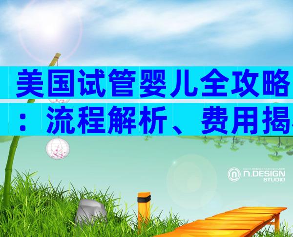 美国试管婴儿全攻略：流程解析、费用揭秘与实用贴士