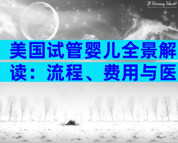 美国试管婴儿全景解读：流程、费用与医疗优势揭秘