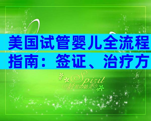 美国试管婴儿全流程指南：签证、治疗方案与费用解析