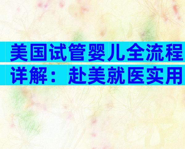 美国试管婴儿全流程详解：赴美就医实用指南