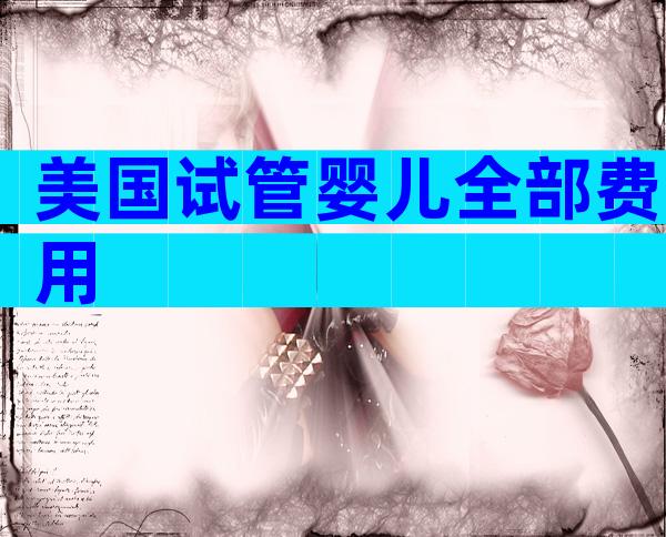 美国试管婴儿全部费用