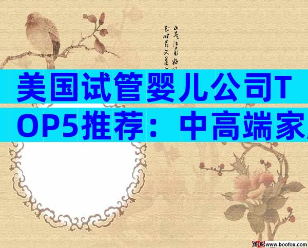 美国试管婴儿公司TOP5推荐：中高端家庭的最优选择