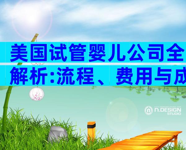 美国试管婴儿公司全解析:流程、费用与成功率一文看懂