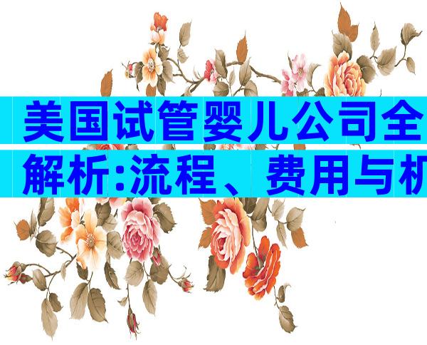 美国试管婴儿公司全解析:流程、费用与机构优劣一文看懂