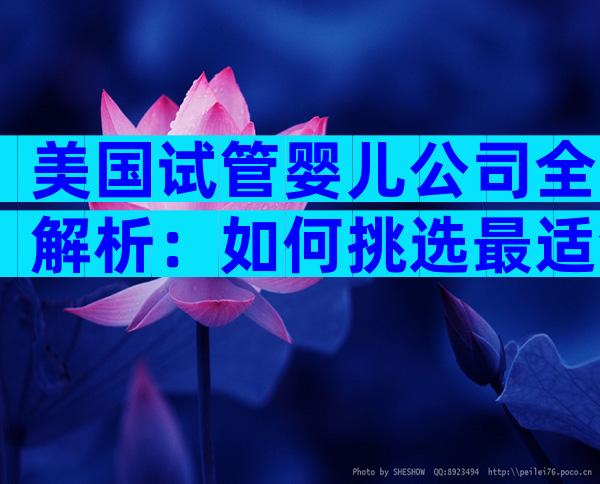 美国试管婴儿公司全解析：如何挑选最适合你的生育伙伴？