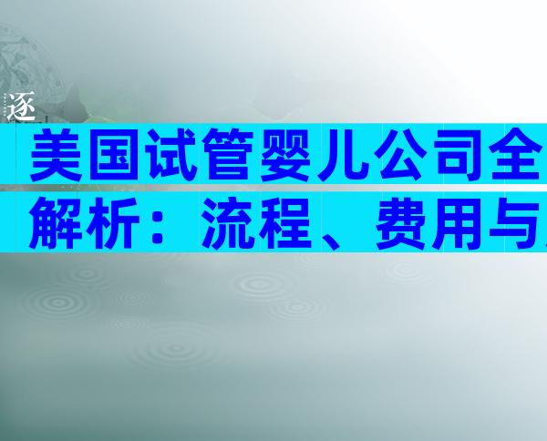 美国试管婴儿公司全解析：流程、费用与成功率一文看懂
