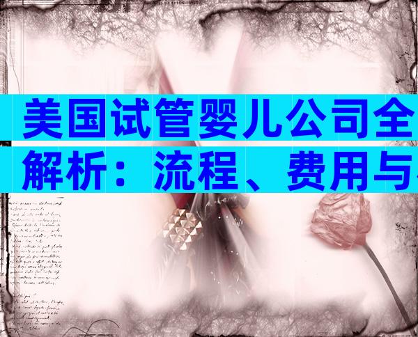 美国试管婴儿公司全解析：流程、费用与机构优劣一文看懂