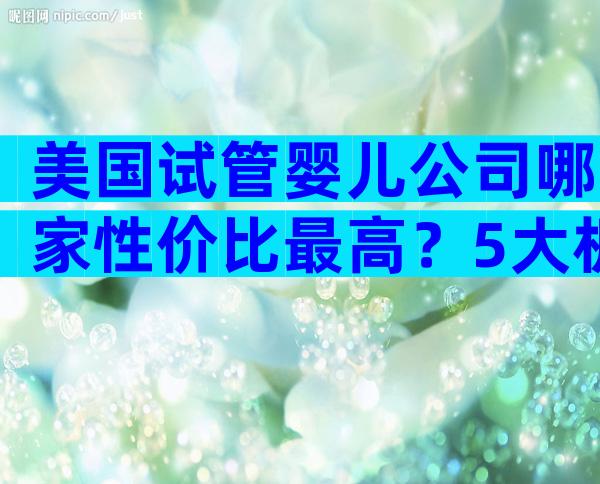 美国试管婴儿公司哪家性价比最高？5大机构服务与费用全对比