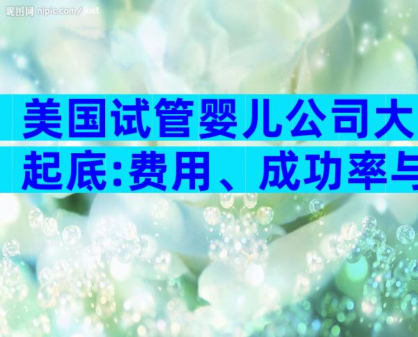 美国试管婴儿公司大起底:费用、成功率与服务全解析