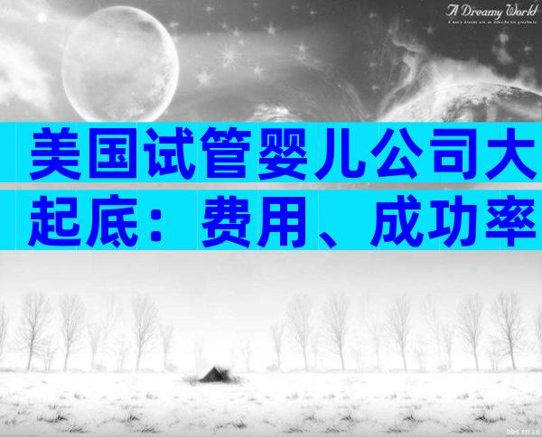 美国试管婴儿公司大起底：费用、成功率与服务全解析