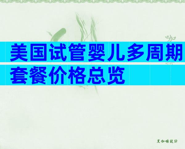 美国试管婴儿多周期套餐价格总览