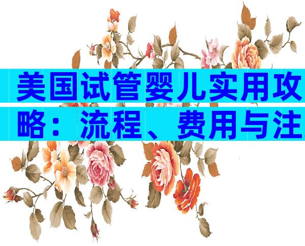 美国试管婴儿实用攻略：流程、费用与注意事项