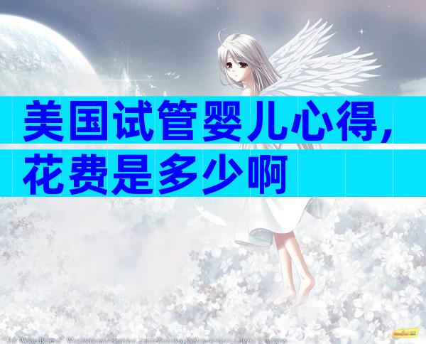 美国试管婴儿心得,花费是多少啊