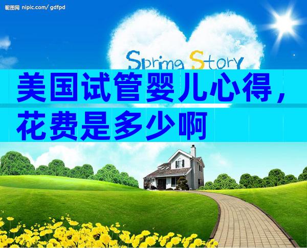 美国试管婴儿心得，花费是多少啊