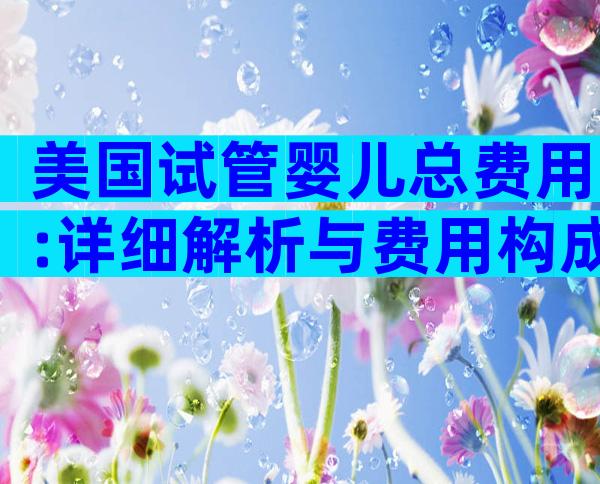 美国试管婴儿总费用:详细解析与费用构成