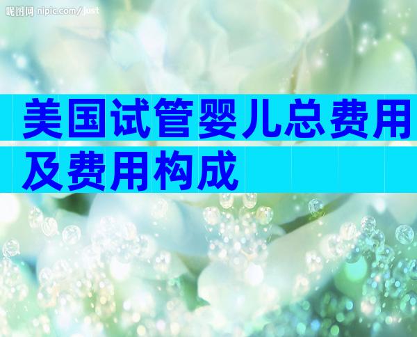 美国试管婴儿总费用及费用构成